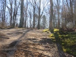 2017-02-23_11-10-54_Feb17-047-NJ.jpg