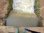 2012-09-07_10-20-07_CIMG6731.JPG