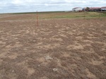 39156ALV220110810N.JPG