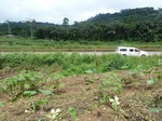 20235P1020090.JPG