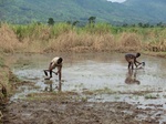 2012-09-07_10-19-57_CIMG6723.JPG