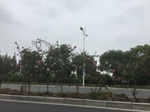 2017-09-10_07-05-27_240DEA85-C9B2-40B8-9B65-B42D7EBED2FD.jpg