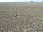 39169BOIS20110913S.JPG