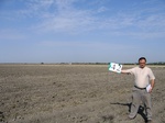 8053042-Irrigated (Surface water) winter wheat-b.jpg