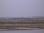 2450 026.jpg