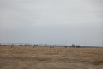 2017-05-07_17-00-24_2017-03-11 09.53.20.jpg