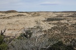 2017-05-08_20-22-56_2017-03-15 16.20.51.jpg