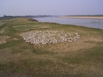 2831 054.jpg