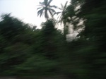 4090RIMG0395.JPG