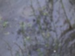 1555R0015227_small.jpg