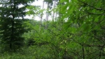 2016-07-25_03-26-58_DSCF1708.JPG
