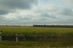 2021-02-02_12-04-30_DSC_0054.JPG