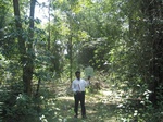 7747gt013c-forests-Y-sec.jpg