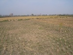 4643RIMG0070.JPG