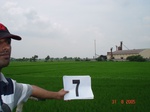 6014007b-irrigated-canal-nagarjunsagar-rice-dominant.jpg