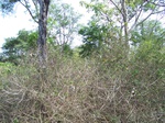 528427042008(80).JPG