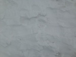 2018-04-06_14-54-42_IMG_0121.JPG