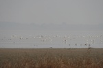 4209IMG_8847.JPG