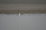 4149IMG_8786.JPG