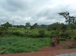 19916P1010766.JPG