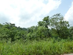 18224P1000060.JPG