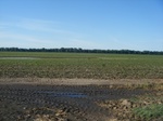 2017-06-05_13-05-37_CoCoRaHS Field Photo Weekend South 5-29-17.JPG