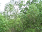 489102052008(84).JPG