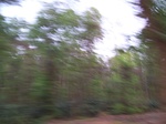 17481100_2170.JPG