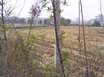 3254R0017288.JPG