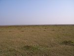 444520071119gps (27).JPG