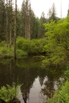 2017-06-13_14-21-49_North.jpg