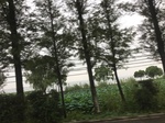 2017-09-10_20-32-34_A1BE51CE-6813-4EC9-94E2-85228E0471FA.jpg