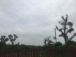2017-09-10_06-44-43_D6AC8BB6-2D65-47F4-8988-C0C073D15DD2.jpg