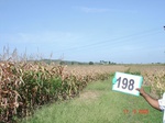 70660198b-irrigated-supplemental-major-groundwater-mixed-crop-maize-largearea-turmeric-doublecrop.jpg
