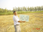 6635gt100-cropland-2.jpg