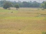 482302052008(20).JPG