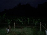 549811052008(92).JPG