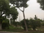 2017-09-12_05-00-27_82E3E020-AA32-4EAD-A1F1-62D822B7FC00.jpg