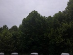 2017-09-10_06-50-59_327E5D70-2DA3-429A-8BFB-BC653B4B0188.jpg