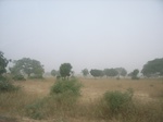 9131RIMG0212.JPG