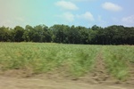 2022-06-11_16-13-23_E5190B51-1066-4BE1-B274-D41CAA553ADC.jpeg