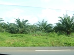 20450P1020307.JPG