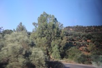 2018-11-15_14-01-44_2018-07-13 10.53.08.jpg