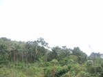 3768RIMG0072.JPG