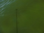 2012-09-21_14-26-00_CIMG3181.JPG