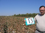 10171013-irrri-cotton-sw-1a.jpg