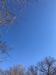 2020-12-08_17-01-51_2020-12-8-14-45-26.jpg