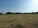 40385P1070748.JPG