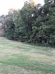 2020-09-30_18-46-03_E8F59495-D409-4A7E-BC6C-615995442660.jpg