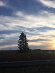 2017-12-08_11-29-47_0CE52F1F-F948-4C35-9C74-AD9F094DE6C0.jpg